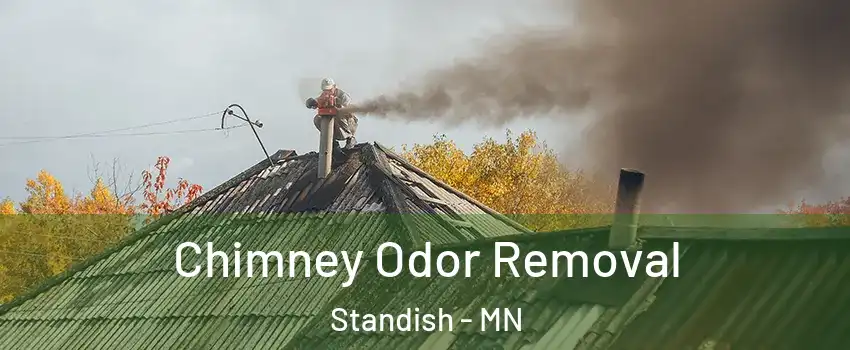Chimney Odor Removal Standish - MN