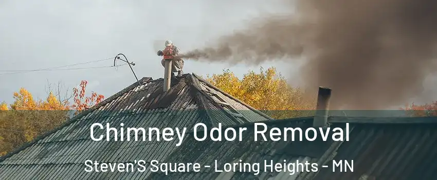 Chimney Odor Removal Steven'S Square - Loring Heights - MN