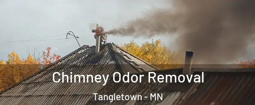 Chimney Odor Removal Tangletown - MN