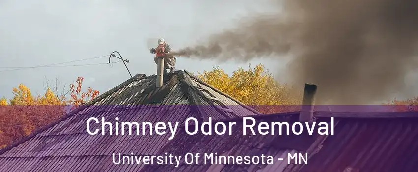 Chimney Odor Removal University Of Minnesota - MN