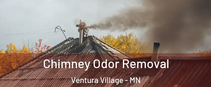Chimney Odor Removal Ventura Village - MN