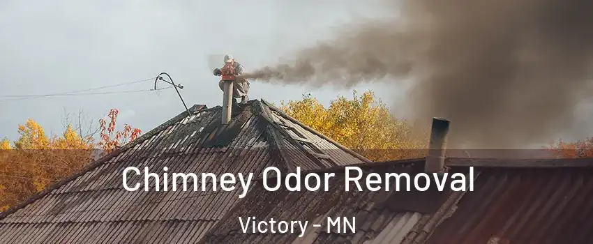 Chimney Odor Removal Victory - MN