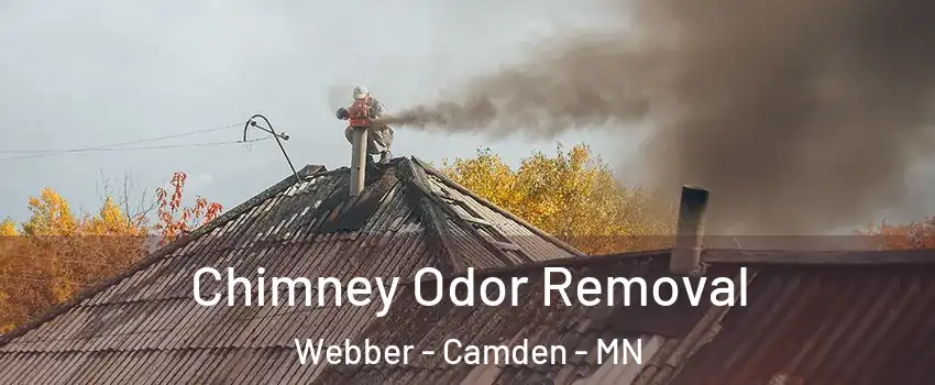 Chimney Odor Removal Webber - Camden - MN