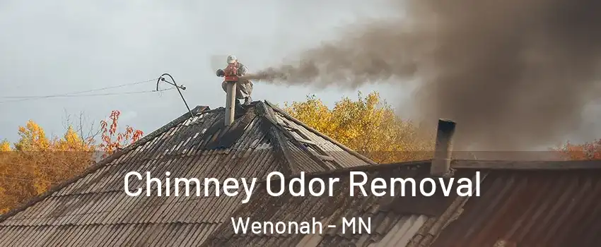 Chimney Odor Removal Wenonah - MN