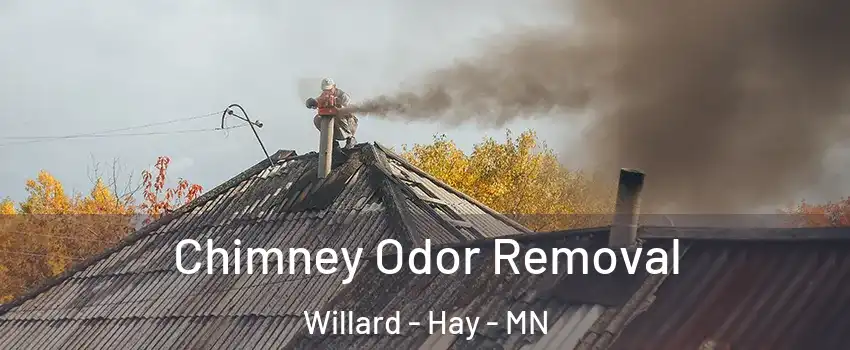 Chimney Odor Removal Willard - Hay - MN