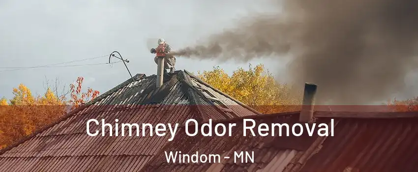 Chimney Odor Removal Windom - MN