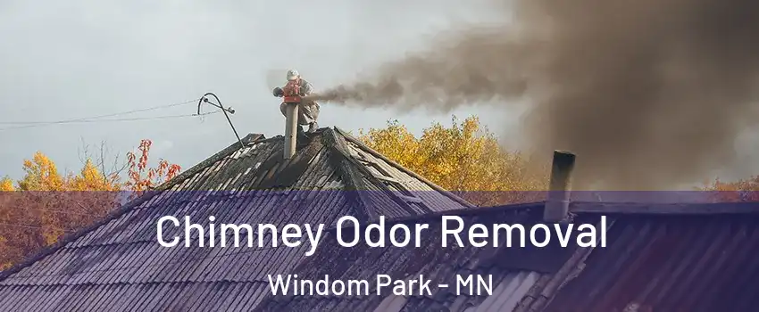 Chimney Odor Removal Windom Park - MN