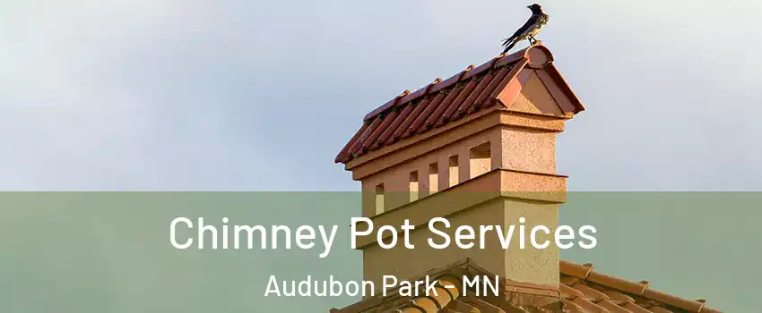 Chimney Pot Services Audubon Park - MN