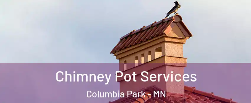 Chimney Pot Services Columbia Park - MN