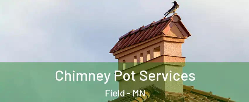 Chimney Pot Services Field - MN