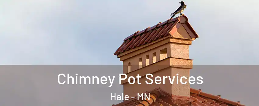 Chimney Pot Services Hale - MN