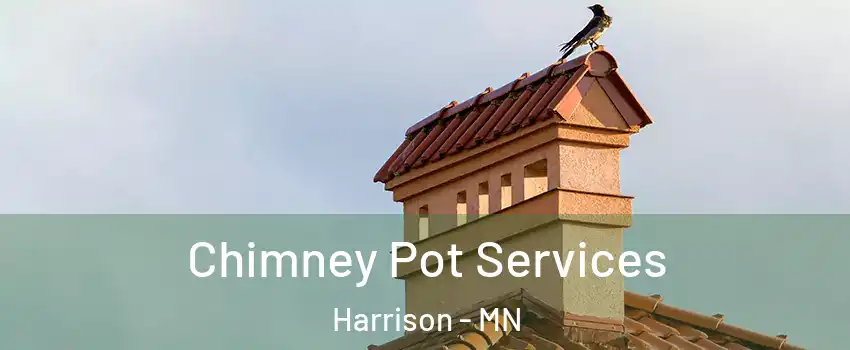 Chimney Pot Services Harrison - MN