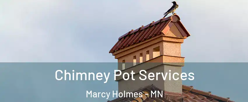 Chimney Pot Services Marcy Holmes - MN