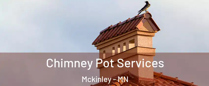 Chimney Pot Services Mckinley - MN