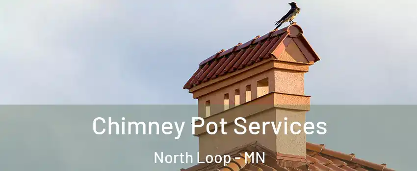 Chimney Pot Services North Loop - MN