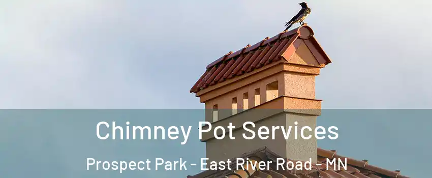 Chimney Pot Services Prospect Park - East River Road - MN