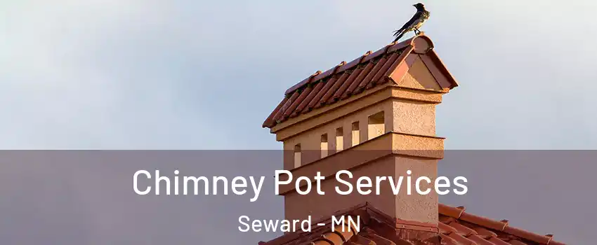 Chimney Pot Services Seward - MN