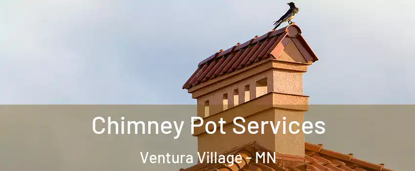 Chimney Pot Services Ventura Village - MN