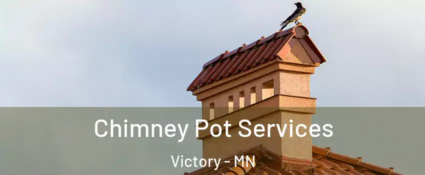 Chimney Pot Services Victory - MN