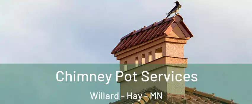 Chimney Pot Services Willard - Hay - MN