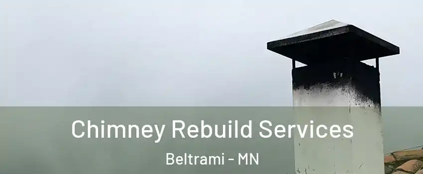 Chimney Rebuild Services Beltrami - MN