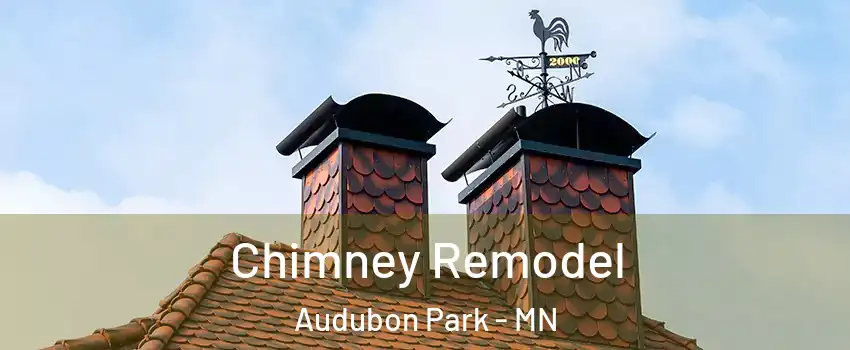 Chimney Remodel Audubon Park - MN