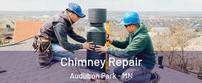 Chimney Repair Audubon Park - MN