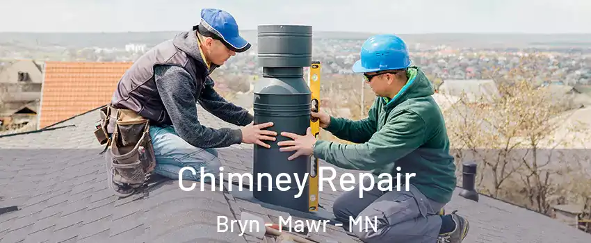 Chimney Repair Bryn - Mawr - MN