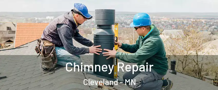 Chimney Repair Cleveland - MN