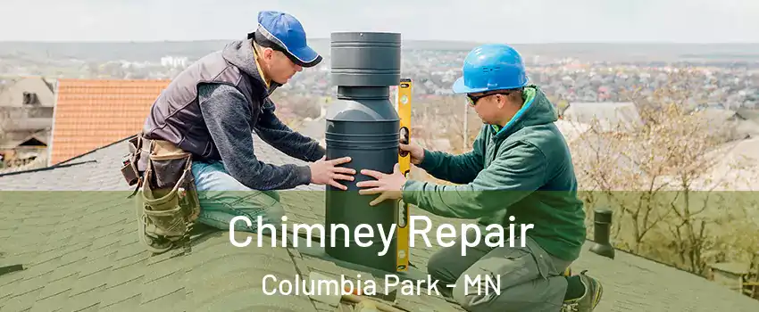 Chimney Repair Columbia Park - MN