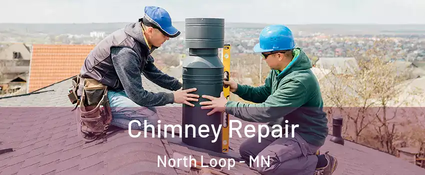 Chimney Repair North Loop - MN