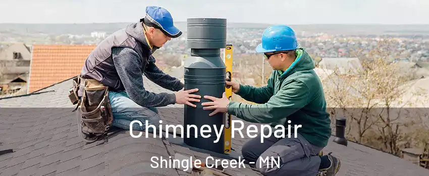 Chimney Repair Shingle Creek - MN