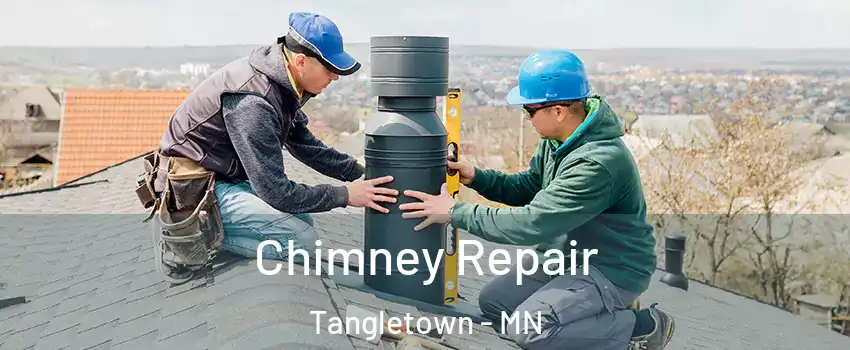 Chimney Repair Tangletown - MN