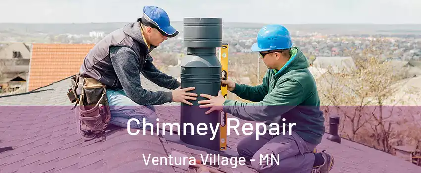Chimney Repair Ventura Village - MN