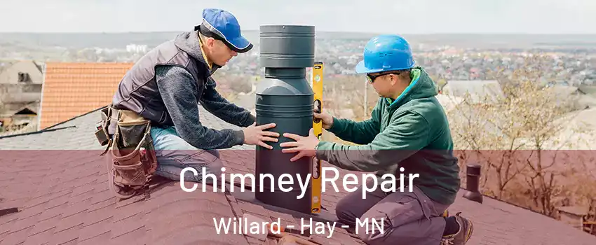 Chimney Repair Willard - Hay - MN
