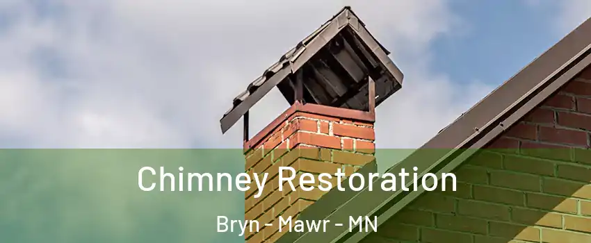 Chimney Restoration Bryn - Mawr - MN