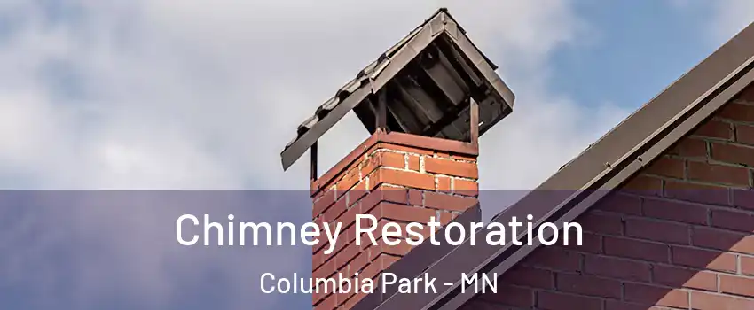 Chimney Restoration Columbia Park - MN