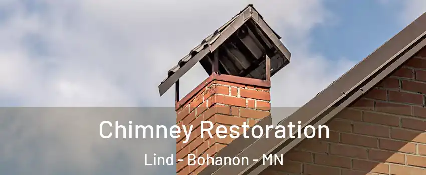Chimney Restoration Lind - Bohanon - MN