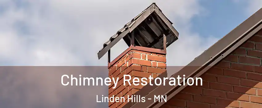 Chimney Restoration Linden Hills - MN