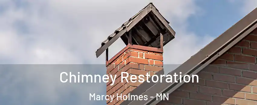Chimney Restoration Marcy Holmes - MN