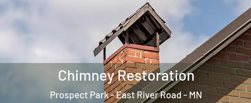 Chimney Restoration Prospect Park - East River Road - MN