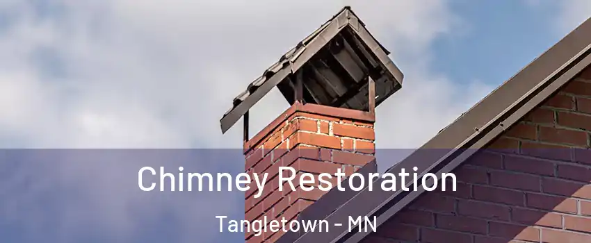 Chimney Restoration Tangletown - MN