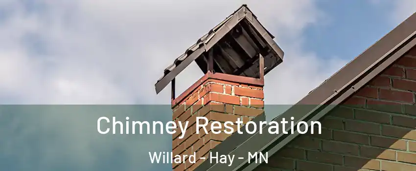 Chimney Restoration Willard - Hay - MN