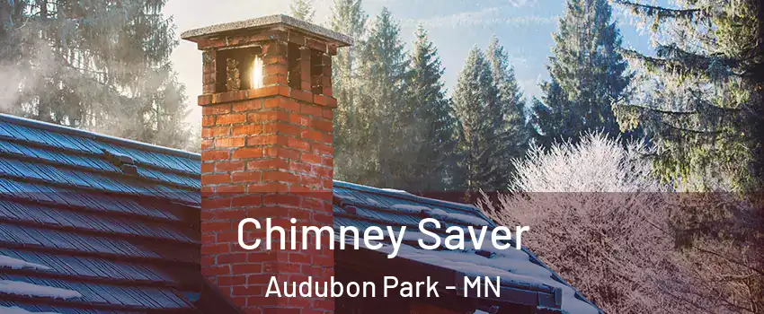 Chimney Saver Audubon Park - MN