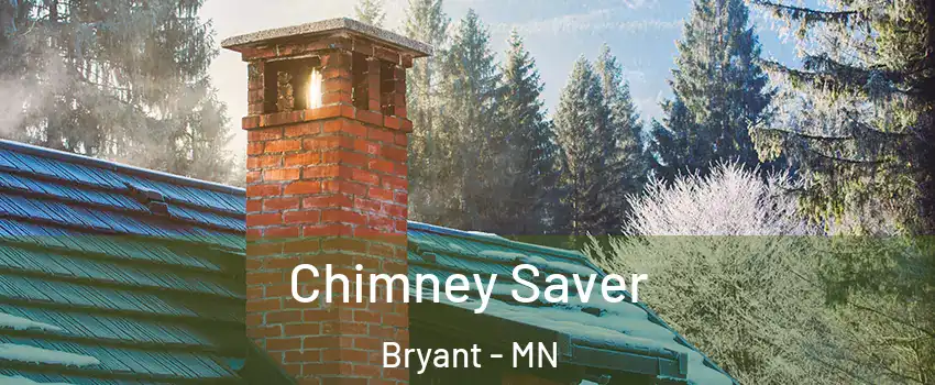 Chimney Saver Bryant - MN