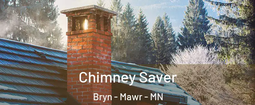 Chimney Saver Bryn - Mawr - MN