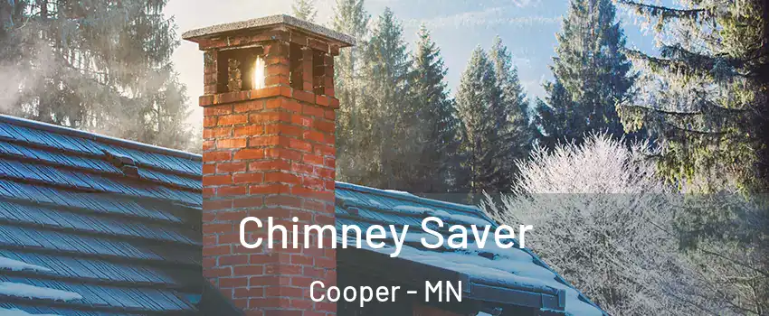 Chimney Saver Cooper - MN