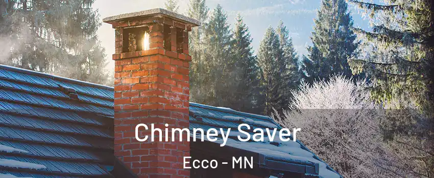 Chimney Saver Ecco - MN