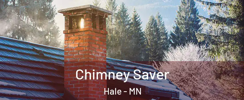Chimney Saver Hale - MN