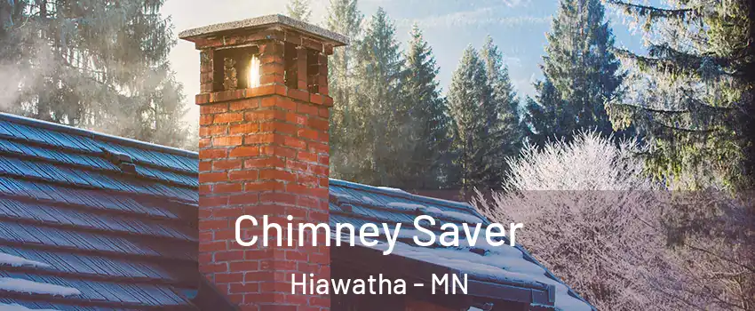 Chimney Saver Hiawatha - MN